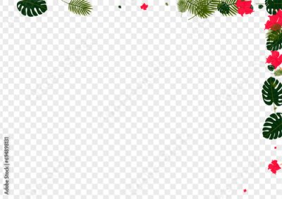 Papier peint  Green Flora Background Transparent Vector. Strelitzia Paradise Card. Light Green Monstera. Trendy Texture. Orange Color Frame.