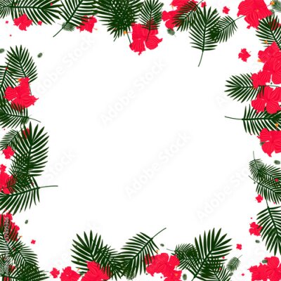 Papier peint  Green Leaves Background White Vector. Strelitzia Popular Illustration. Light Green Flora. Garden Texture. Pink Spring Design.