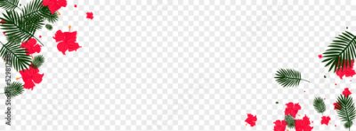 Papier peint  Green Strelitzia Background Transparent Vector. Flora Safari Card. Orange Philodendron. Popular Backdrop. Yellow Decoration Frame.