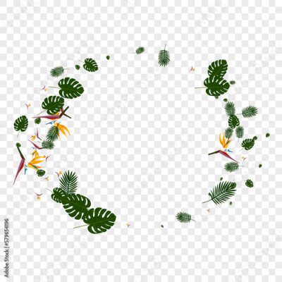 Papier peint  Green Strelitzia Background Transparent Vector. Flower Wrapping Backdrop. Red Flora. Bright Texture. Orange Silhouette Pattern.