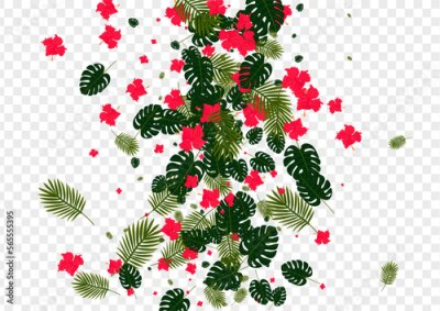 Papier peint  Green Strelitzia Background Transparent Vector. Philodendron Artwork Texture. Orange Palm. Safari Frame. Yellow Nature Card.