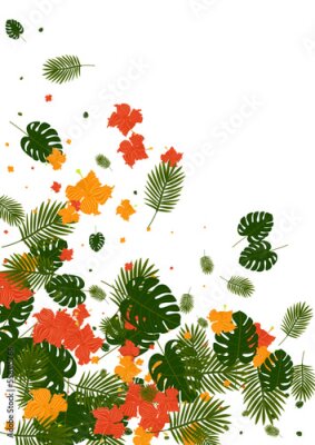 Papier peint  Green Strelitzia Background White Vector. Flower Print Backdrop. Light Green Palm. Brazil Texture. Red Style Illustration.