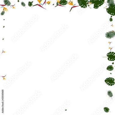 Papier peint  Green Strelitzia Background White Vector. Leaves Beach Backdrop. Pink Monstera. Spring Illustration. Orange Print Card.