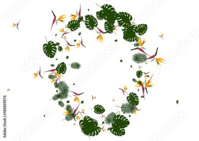 Papier peint  Green Tree Background White Vector. Leaf Rainforest Frame. Light Green Strelitzia. Miami Pattern. Orange Style Card.