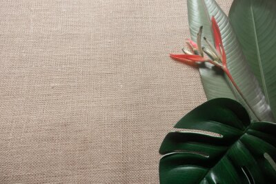 Papier peint  Green tropical leaves and strelitzia flower on a hessian background.