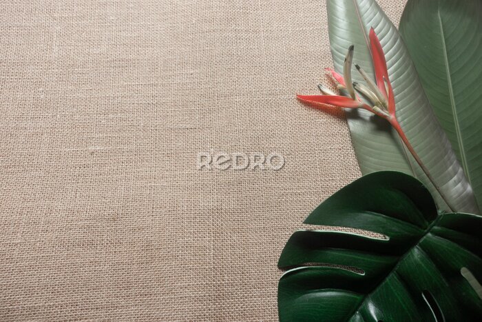 Papier peint  Green tropical leaves and strelitzia flower on a hessian background.