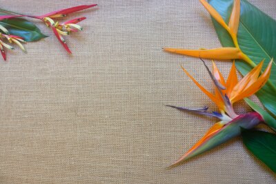 Papier peint  Green tropical leaves and strelitzia flowers and bird of paradise flower on a hessian background with copy space.