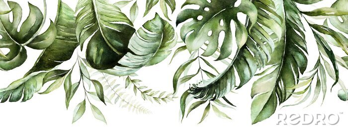Papier peint  Green tropical leaves on white background. Watercolor hand painted seamless border. Floral tropic illustration. Jungle foliage pattern.
