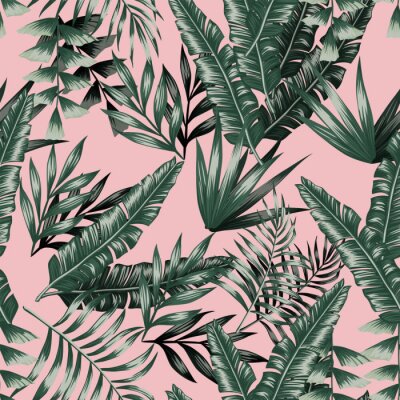 Papier peint  Green tropical leaves with shadow seamless pink background