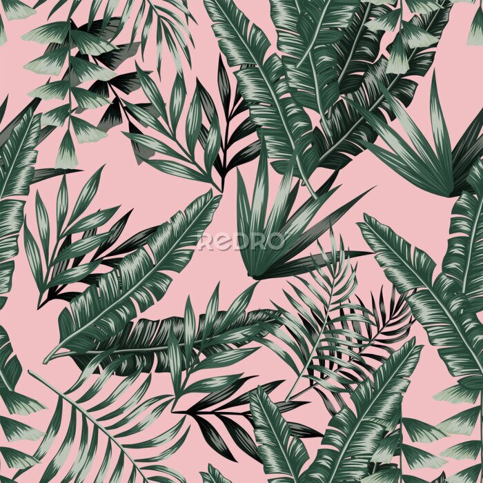 Papier peint  Green tropical leaves with shadow seamless pink background