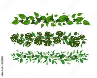 Papier peint  greenery summer leaves strips decorative elements