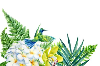 Papier peint  Greeting card, hummingbird, tropical palm leaves and plumeria flowers hand drawn in watercolor, botanical painting