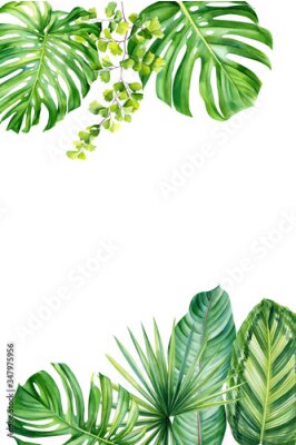 Papier peint  Greeting card, Jungle botanical watercolor illustrations, tropical plants, palm leaves, monstera, calathea, strelitzia, fern.