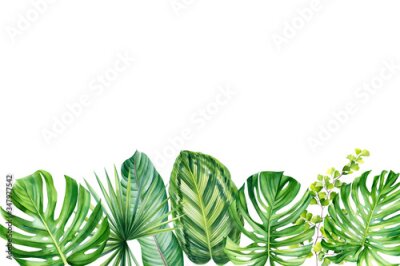 Papier peint  Greeting card, Jungle botanical watercolor illustrations, tropical plants, palm leaves, monstera, calathea, strelitzia, fern.