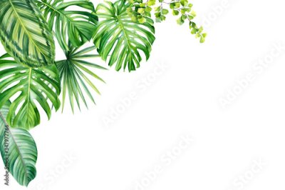 Papier peint  Greeting card, Jungle botanical watercolor illustrations, tropical plants, palm leaves, monstera, calathea, strelitzia, fern.