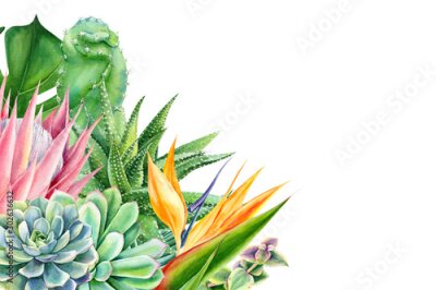 Papier peint  greeting card, tropical plants and flowers on white background, watercolor hand drawing, leaves of palms, monstera, succulent, protea, strelitzia, agave