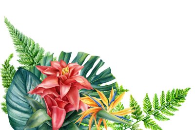 Papier peint  Greeting card, tropical plants, palm leaves and flowers in watercolor, botanical painting guzmania, strelitzia