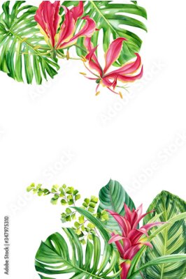 Papier peint  Greeting card, tropical plants, palm leaves, monstera, calathea, strelitzia, fern, lilies, hibiscus flowers on white background