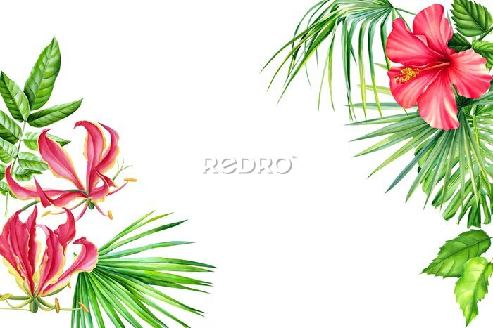 Papier peint  Greeting card, tropical plants, palm leaves, monstera, calathea, strelitzia, fern, lilies, hibiscus flowers on white background. Jungle botanical watercolor illustrations, 