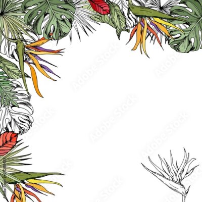 Papier peint  Greeting card with tropical leaves and exotic strelitzia flowers.  Hand drawn vector illustration.