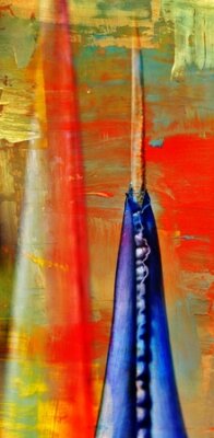 Papier peint  Gros plan de strelitzia reginae flower