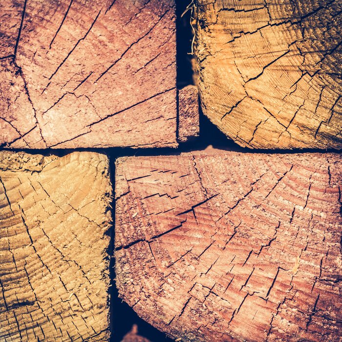 Papier peint  Gros plan sur des poutres en bois