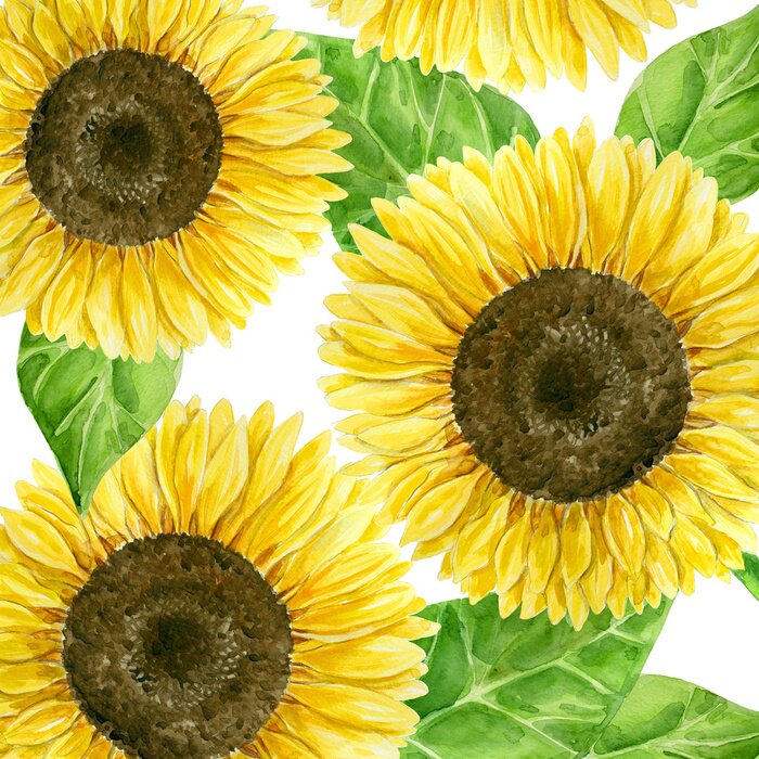Papier peint  Grros plan sur les tournesols aquarelle