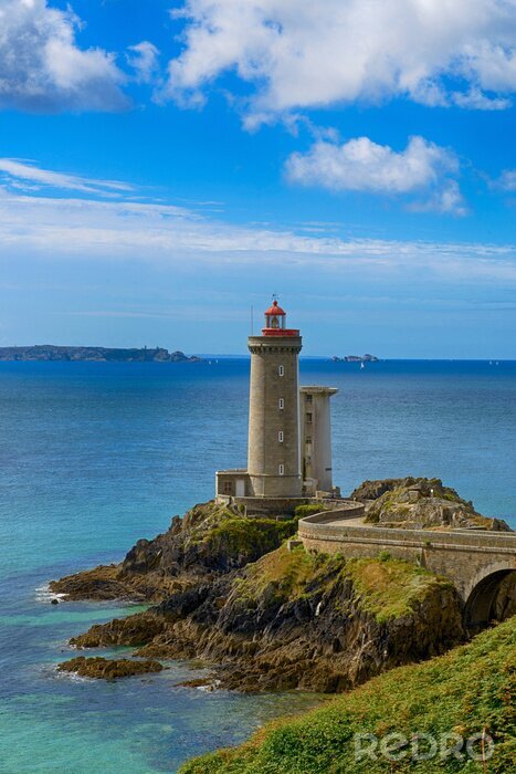 Papier peint  Grue blanche en bord de mer