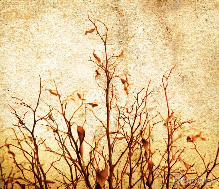 Papier peint  Grunge arbre