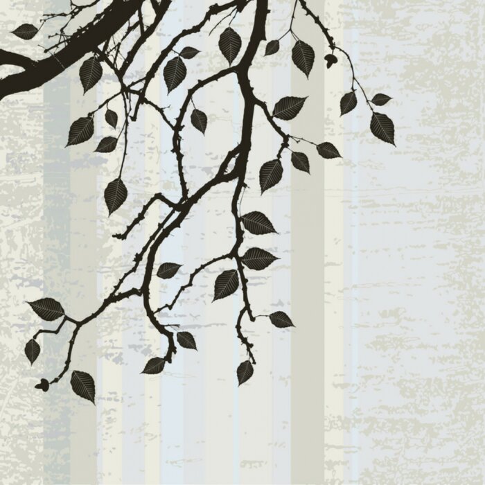 Papier peint  Grunge frame et série de frontière