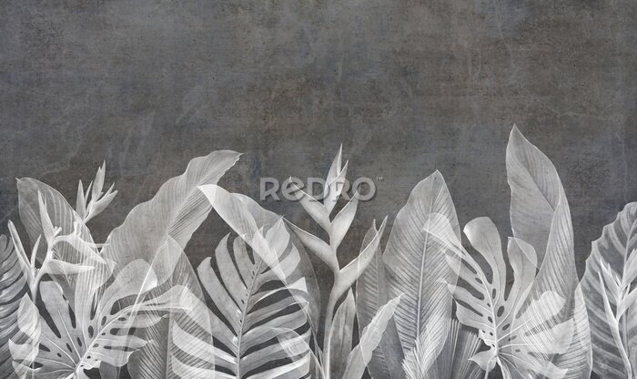 Papier peint  Grunge wallpaper with leafs and plants on concrete background. Design for wallpaper, photo wallpaper, fresco, mural and other.