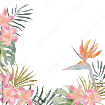 Papier peint  Hand drawing watercolor summer banner - Strelitzia, plumeria, monstera, palm leaf. On white background with space for text. For holiday invitation, postcard, poster, valentines and birthday cards