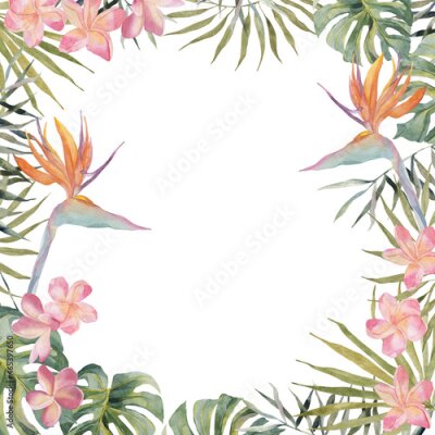 Papier peint  Hand drawing watercolor summer banner - Strelitzia, plumeria, monstera, palm leaf. On white background with space for text. For scrapbooking, cards for birthday, party, textile, design.