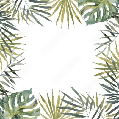 Papier peint  Hand drawing watercolor summer banner - Strelitzia, plumeria, monstera, palm leaf. On white background with space for text. For swimwear, cards for birthday, party, poster, home decor, cover