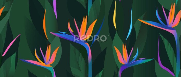 Papier peint  Hand drawn abstract jungle pattern with strelitzia flower. Creative collage contemporary seamless pattern. Natural colors. Fashionable template for design.