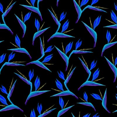 Papier peint  Hand drawn seamless strelitzia flower pattern. Strelitzia, bird of paradise, or crane lily. Fantastic watercolor pattern in blue color. Design for textile, wallpapers, greeting cards, decoration.