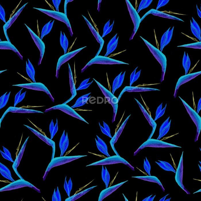 Papier peint  Hand drawn seamless strelitzia flower pattern. Strelitzia, bird of paradise, or crane lily. Fantastic watercolor pattern in blue color. Design for textile, wallpapers, greeting cards, decoration.