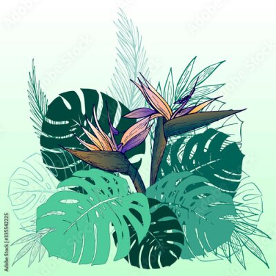 Papier peint  Hand drawn strelitzia flower, monstera leaves on green background. Exotic flower. Vector illustation.Perfect for card, invitation, print, poster, banner.