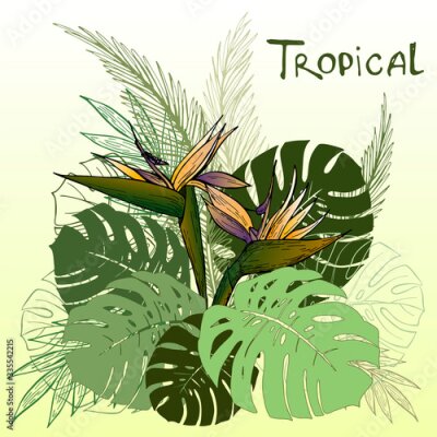 Papier peint  Hand drawn strelitzia flower, monstera leaves on yellow background. Exotic flower. Vector illustation.Perfect for card, invitation, print, poster, banner.