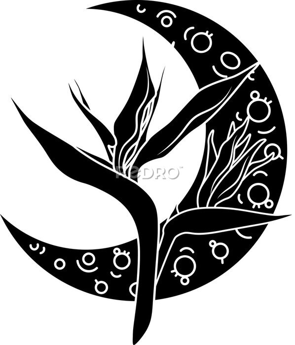 Papier peint  Hand Drawn Vector Moon Planet Illustration with Strelitzia Flowers. Astrology SVG Outline Composition Perfect for Logo, T-shirt Printing, Cut Design and more. Astrological, Celestial Cut file. 