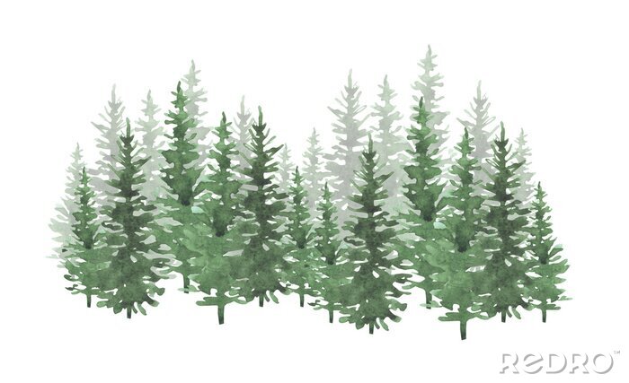 Papier peint  Hand drawn watercolor coniferous forest illustration, spruce. Winter nature, holiday background, conifer, snow, outdoor, snowy rural landscape.Mysterious fir or pine trees  for winter Christmas design