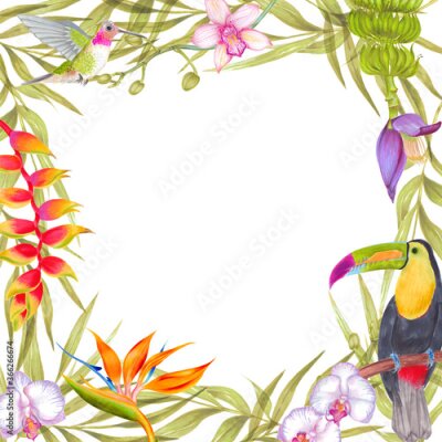 Papier peint  Hand drawn watercolor tropic background with bamboo leaves, banana flower, strelitzia flower, orchid flowers. Hummingbird, toucan