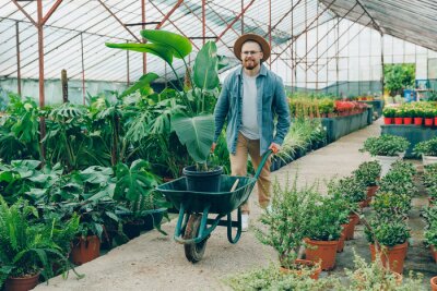 Papier peint  Happy farmer works in plant nursery, transports strelitzia on cart through greenhouse. Man gardener worker working on flower shop center