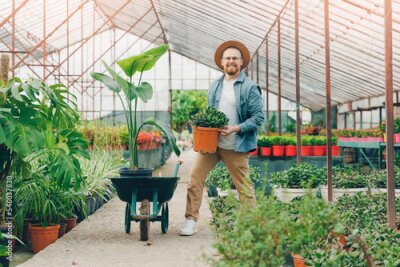 Papier peint  Happy farmer works in plant nursery, transports strelitzia on cart through greenhouse. Man gardener worker working on flower shop center