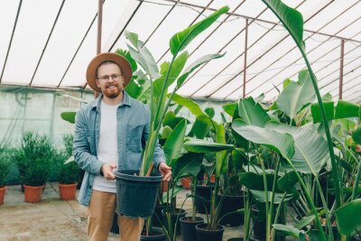 Papier peint  Happy gardener is holding large potted strelitzia flower for sale in plant nursery. Work male farmer in greenhouse of flowers