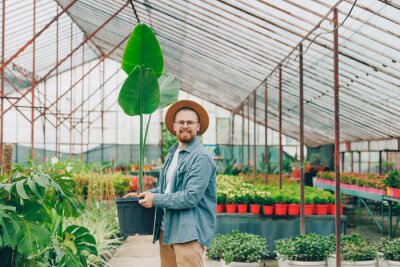 Papier peint  Happy gardener is holding large potted strelitzia flower for sale in plant nursery. Work male farmer in greenhouse of flowers