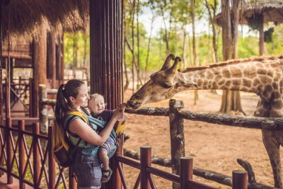 Papier peint  Happy mother and son watching and feeding giraffe in zoo. Happy family having fun with animals safari park on warm summer day