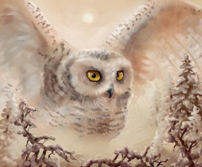 Papier peint  Harfang des neiges dans une forêt en hiver