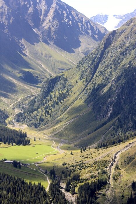 Papier peint  Hautes montagnes avec verdure