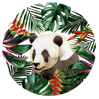 Hawaï tropical laisse dans un style aquarelle isolé. Aquarelle fleur sauvage pour le fond, la texture, le motif de l'enveloppe, le cadre ou la bordure.